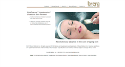 Desktop Screenshot of breramedicalusa.com