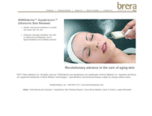 Tablet Screenshot of breramedicalusa.com